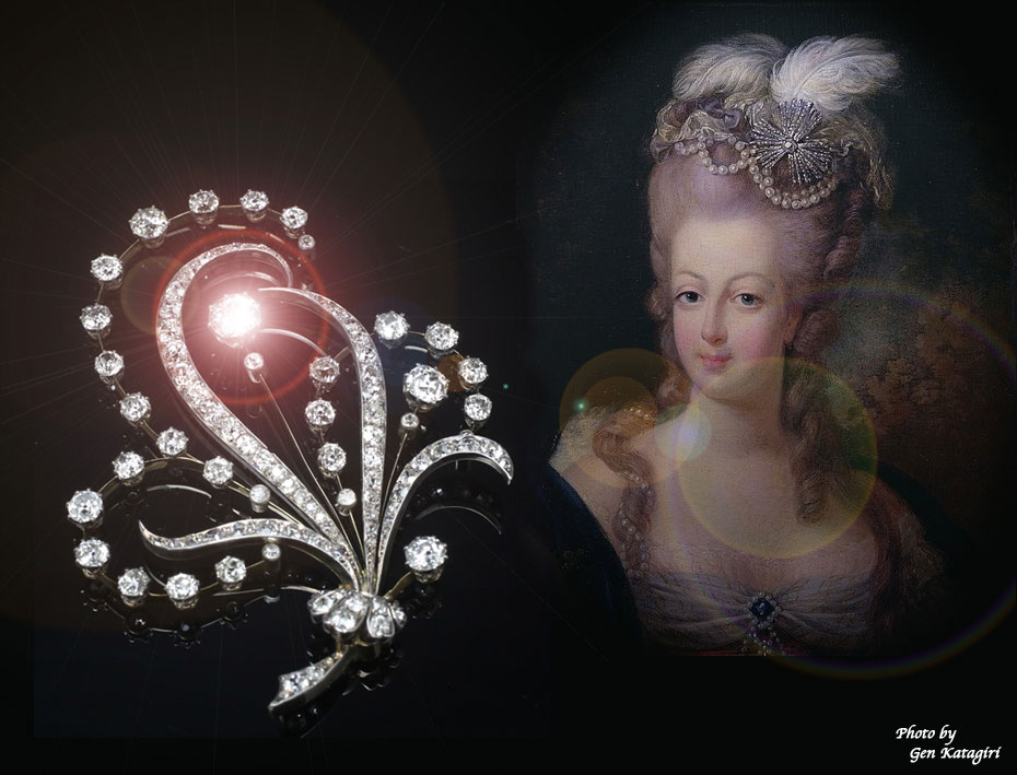 フランス・アンティークのエイグレットをダイヤモンドとトレンブランで表現したブローチ＆髪飾り