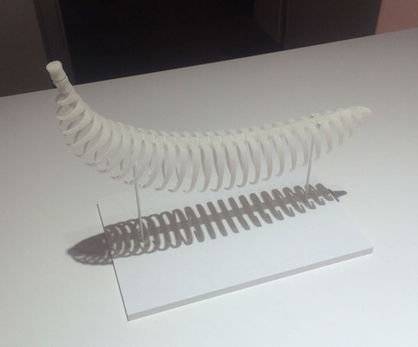 3Dプリンタで作ったバナナの骨格