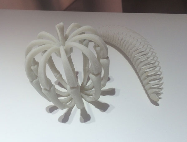3Dプリンタで作ったリンゴとバナナの骨格