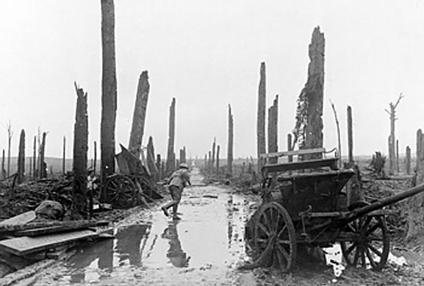 第一次世界大戦で爆撃を受けたイペール付近の森