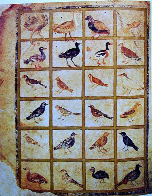 ウィーン写本の一部『鳥』のミニアチュール