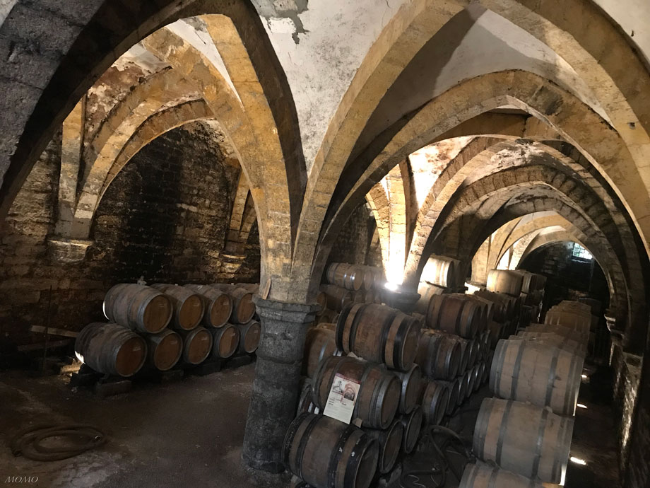 アルボワの14世紀から続くワイン蔵