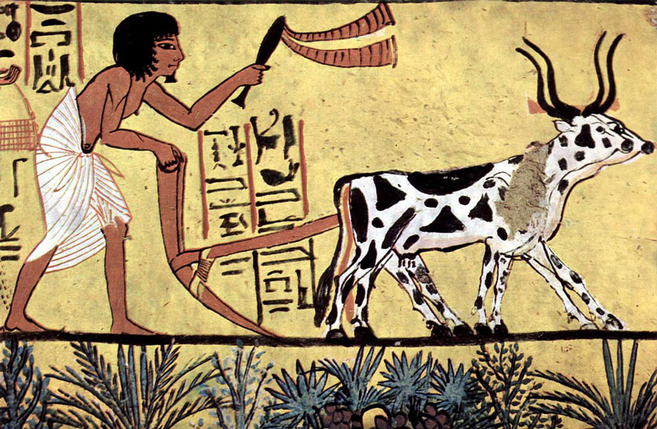 土地を耕す様子を描いた古代エジプトの壁画