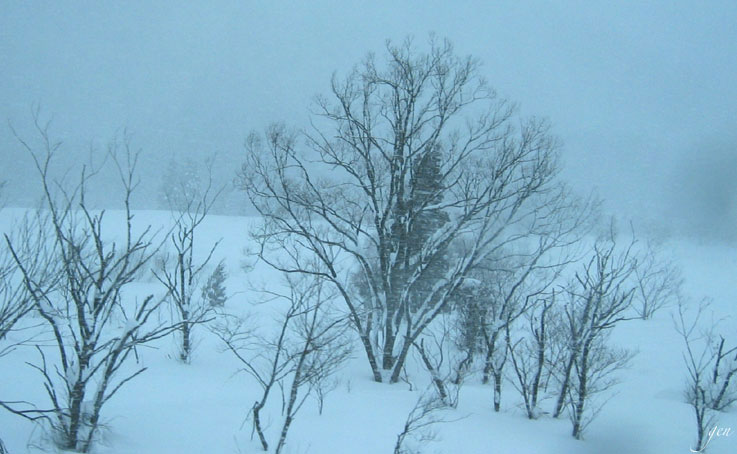 福島から米沢に向かう電車の車窓から見た猛吹雪