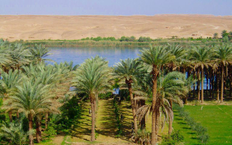 Sergent James McCauley