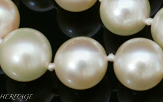 初期の養殖真珠