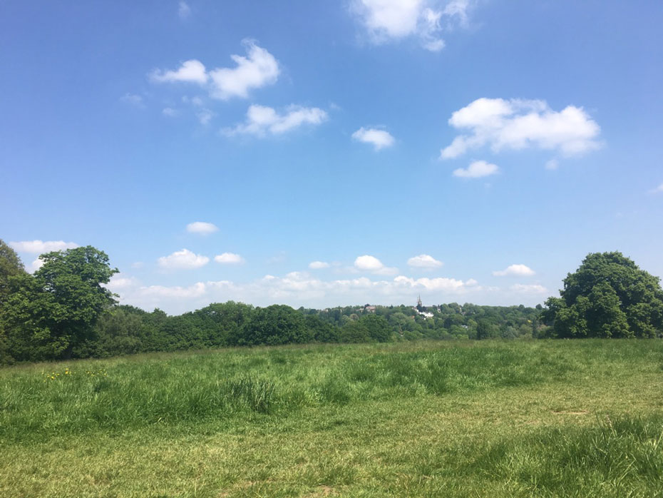 ハムステッド・ヒース　ロンドン　イギリス　原野　青空　高台　ピクニック