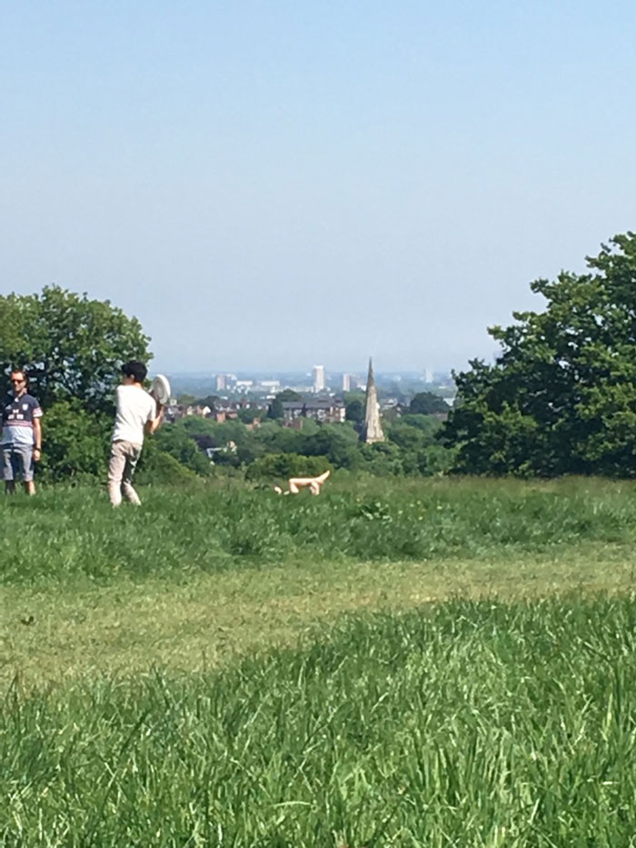 ロンドンの高台の原野ハムステッドヒースの草むらから飛び出した、日光浴をする白人男性の艶めかしい白い脚