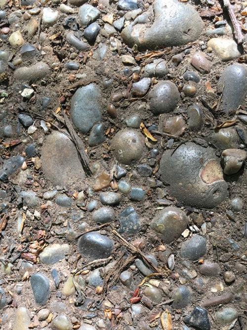ロンドンの高台の原野ハムステッドヒースの川底を示す太古の石
