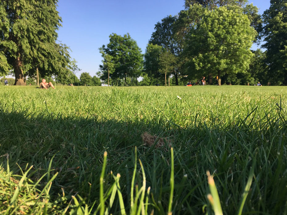 青空のハイドパークの芝生で日光浴をするイギリス人