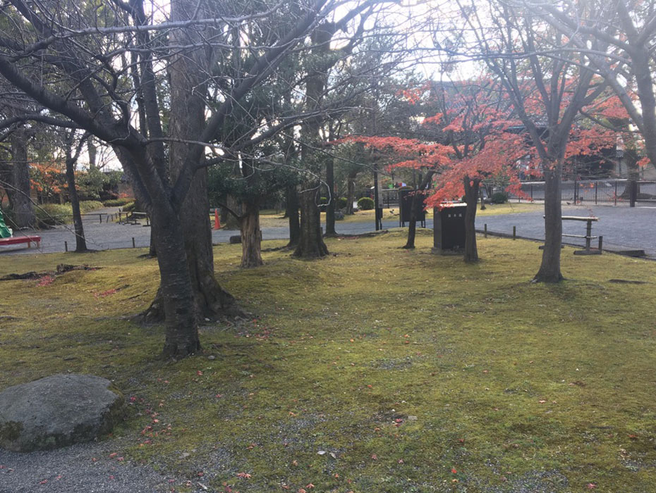 冬の京都の東寺の紅葉と苔
