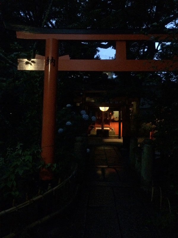 夜の京都の平野神社のアジサイと鳥居