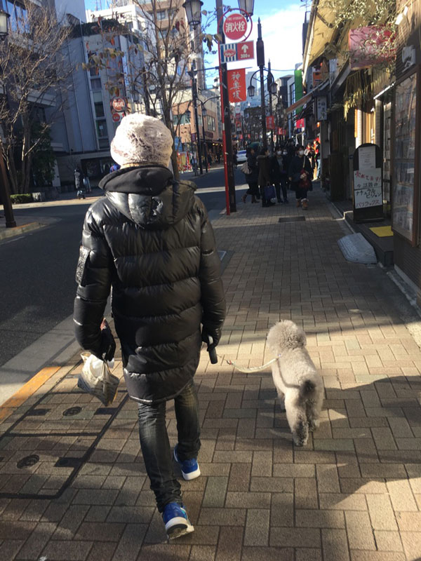 GENと小元太のお正月の神楽坂散歩