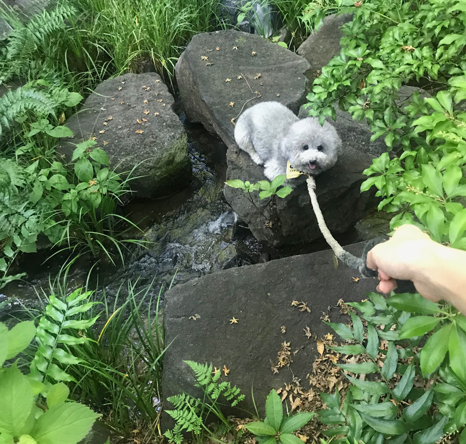 炬yރgCv[h