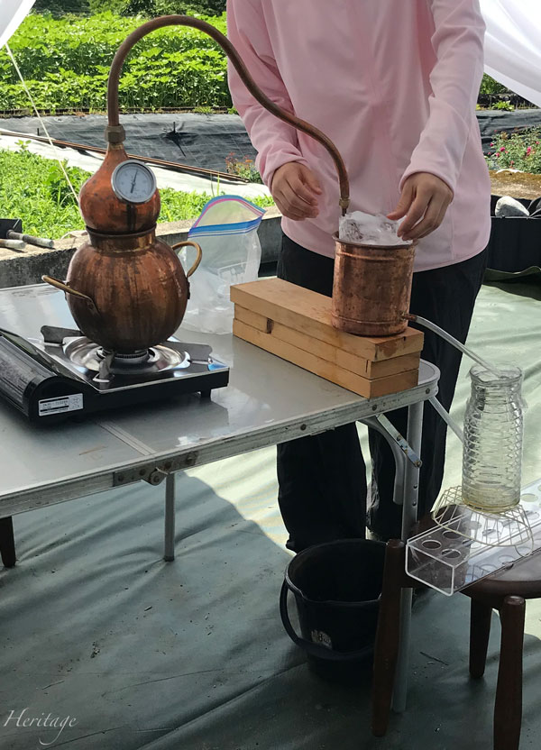 バラの蒸留水づくり