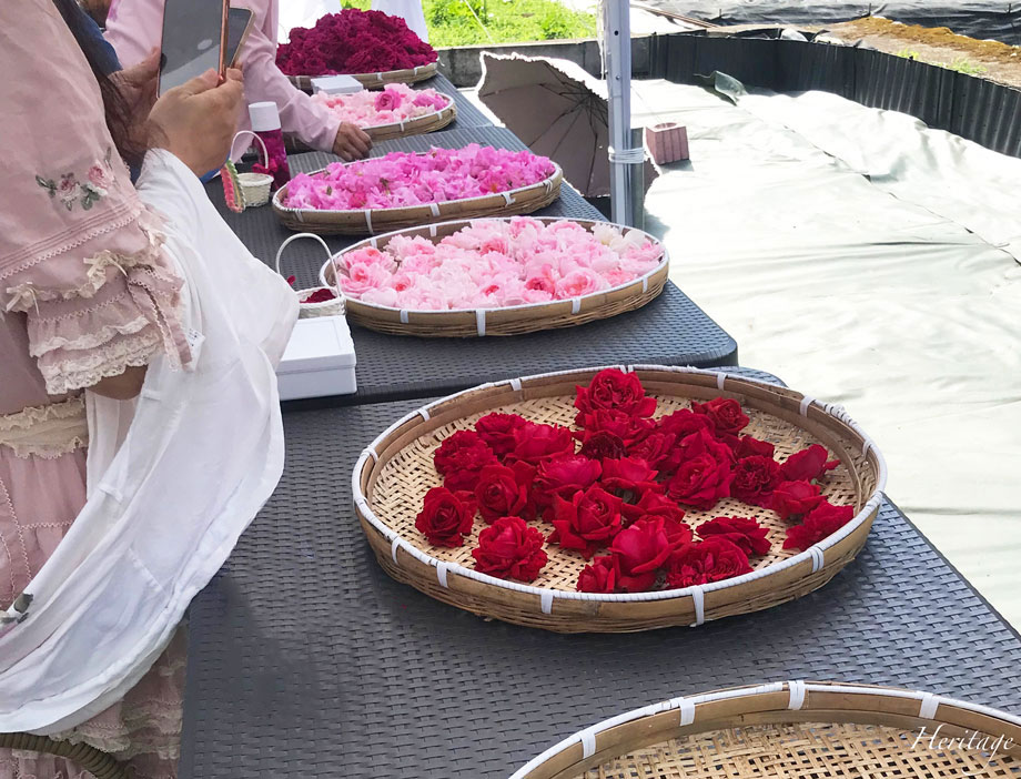 ローズ・アフタヌーンティーのジュレ、マカロン、薔薇のカップケーキ、グミ