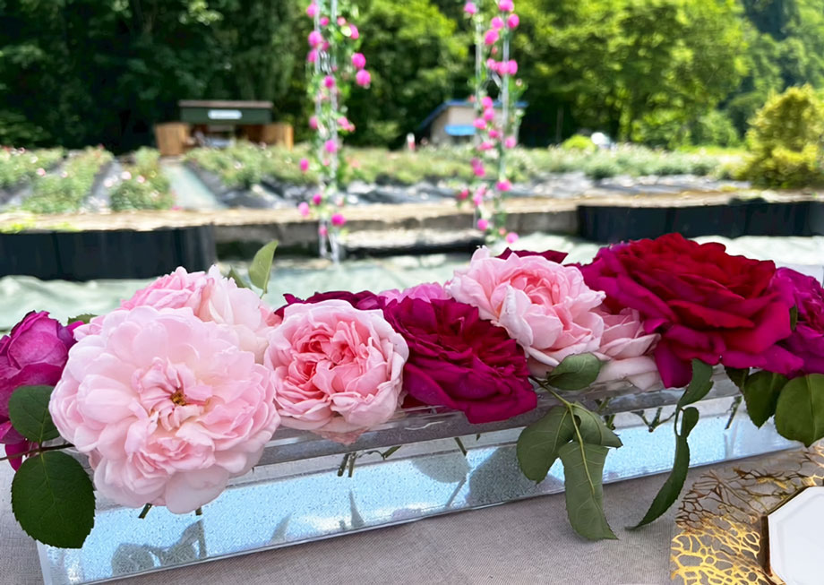 ローズ・アフタヌーンティーのジュレ、マカロン、薔薇のカップケーキ、グミ