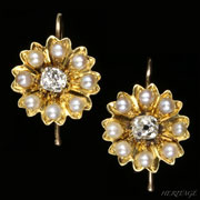 �N�b�V�����V�F�C�v�E�_�C�������h���V�R�^��̃R�X���X�̃S�[���h�E�s�A�X